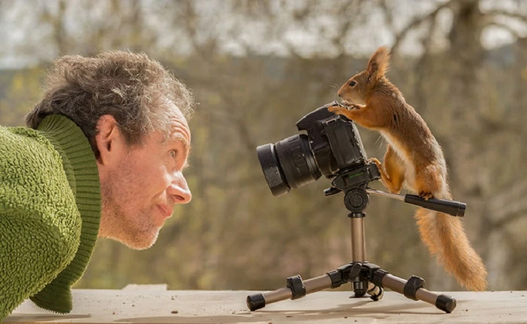 Нидерландский фотограф Герт Вегген проводит фотосессии с белками